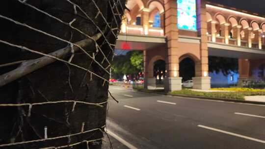 夜景下的特色建筑与街边树木