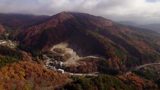 秋天日本阿尔卑斯山上空的一只苍蝇及其秋叶