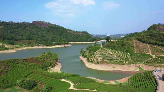 合集-金华武义石鹅湖景区航拍茶园风光