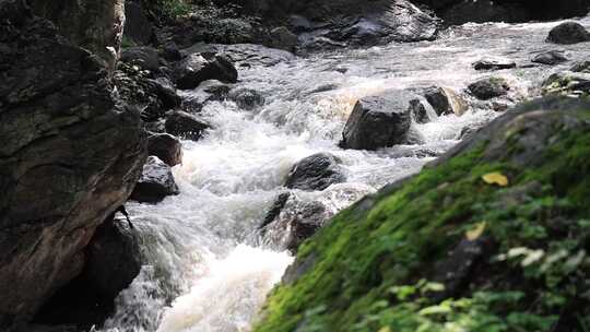 森林中 山泉小溪水