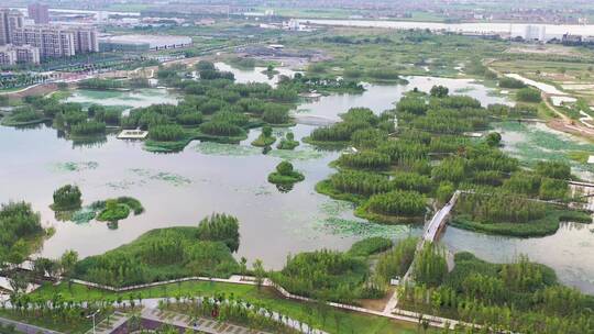 4K 高新鱼尾洲湿地公园