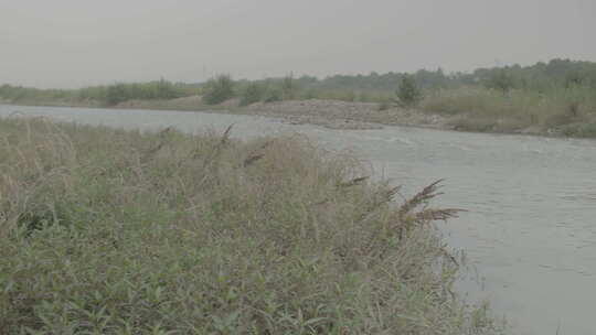 乡村河溪边玩水欣赏田间风景灰片