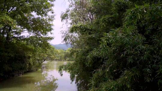 杭州国家西溪湿地公园周家村入口4K视频素材