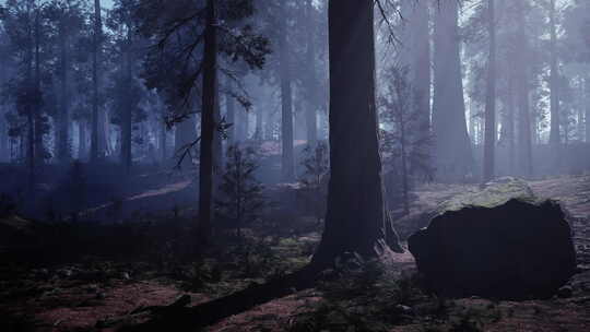 森林中的一块大石头黑暗的森林