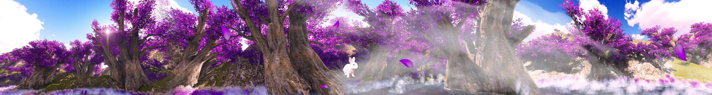 唯美树林兔子 薰衣草花瓣 蓝天白云 大树