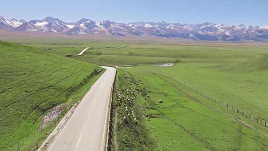 新疆伊犁那拉提空中草原的羊群