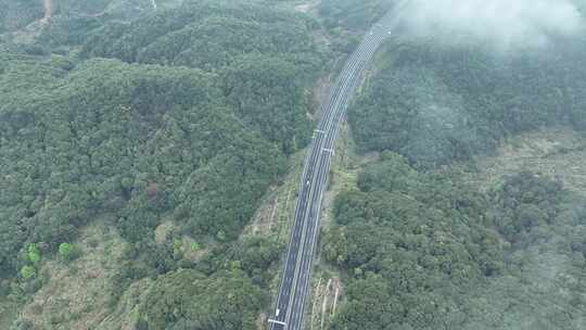 云雾下的高速公路俯拍森林公路云雾缭绕山区视频素材模板下载