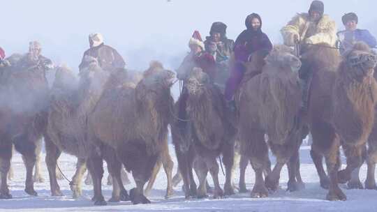 内蒙古第二十届冰雪那达慕开幕式上威风驼队
