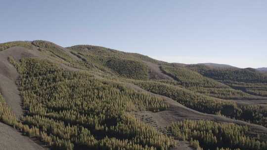 航拍内蒙古呼和浩特大青山人工林秋季风光