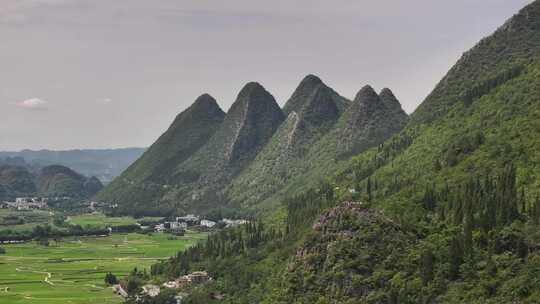 万峰林田园风光