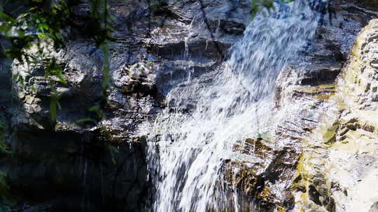 双重曝光夏天小清新唯美清晨阳光树叶