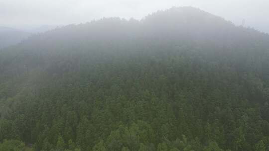 大自然森岭云雾航拍