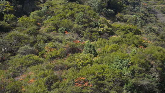 秋天秦岭风光 秦岭 秋季 秦岭山脉