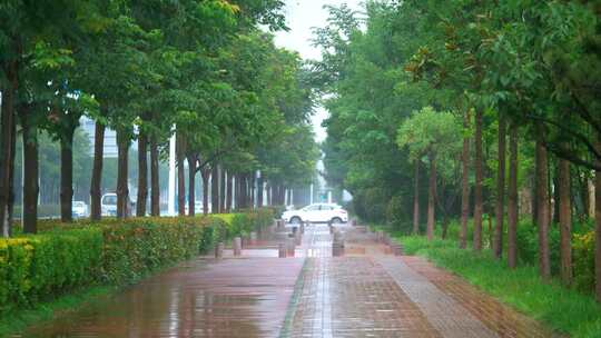 夏日下雨的街道