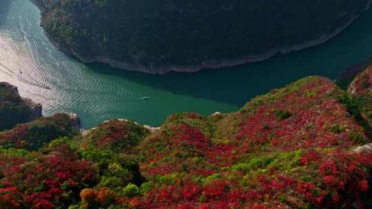 三峡红叶