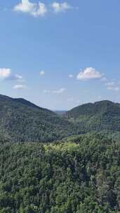 竖屏航拍山川丘陵大山山脉森林植物