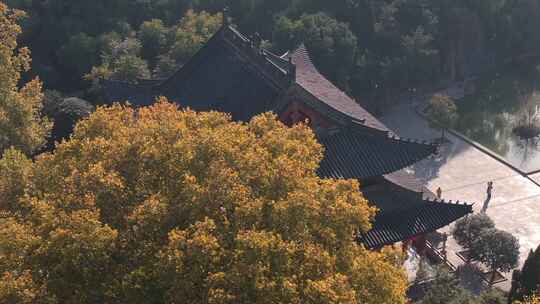 航拍洛阳白马寺