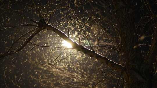 路灯下的初雪，夜间雪景