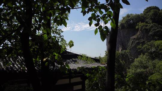 嘉兴柯岩风景区普照寺风景视频