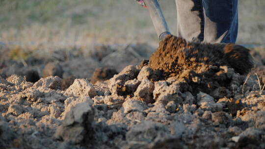 在农田里挖泥土的农民