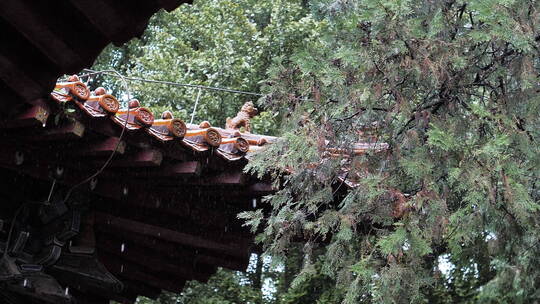 秋季下雨中岱庙古迹古建筑屋檐滴水雨中景色