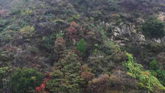 航拍秦岭秋天景色 秦岭 秋季