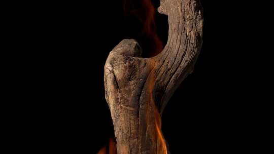 木头木柴火焰燃烧