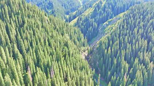 新疆博州天山峡谷HDR航拍