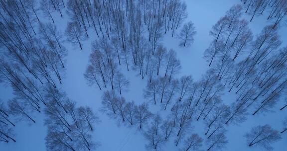 航拍冬季雪原树林暮色