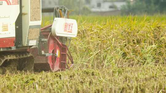 收割机农用机械化农业收稻机丰收视频素材模板下载