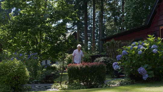 老人走在花园里，欣赏，花，树，太阳，房子
