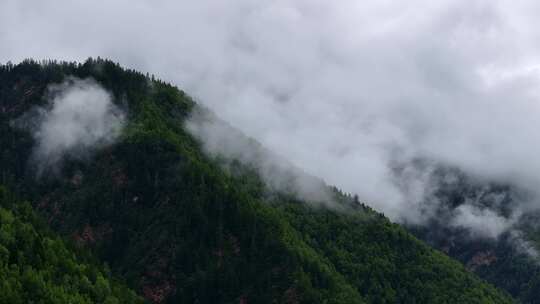 川西山间森林云海震撼航拍