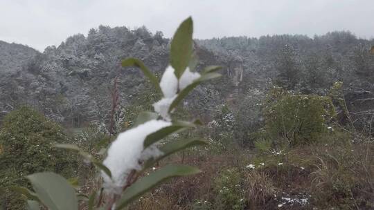 农村下雪场景，天然石佛，下水大佛