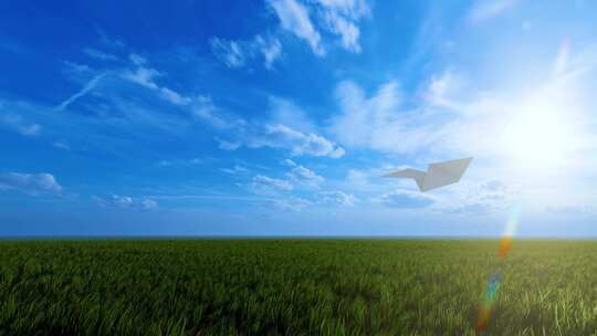 纸飞机飞过草地 纸飞机飞过天空