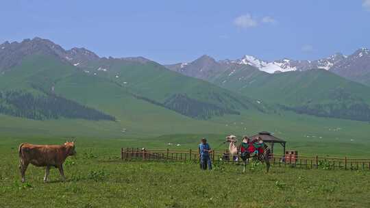 新疆那拉提草原游牧人家