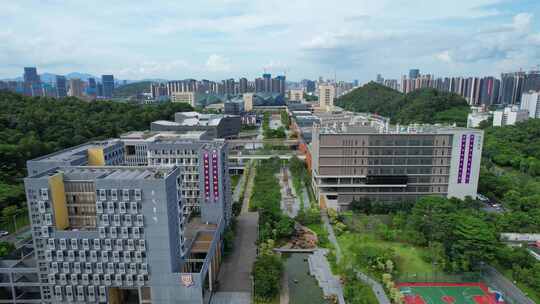 香港中文大学深圳