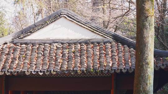 杭州灵隐寺寺庙建筑风景