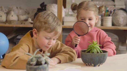 小女孩用放大镜观察一株植物