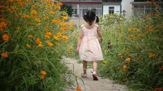 穿裙小女孩走在美丽乡村小道格桑花花海