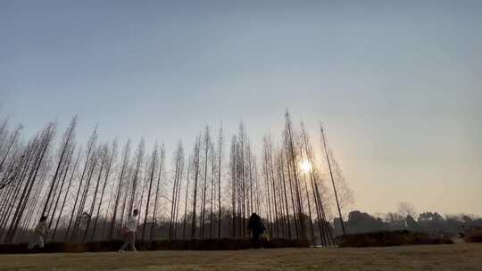 落日余晖草坪家人玩飞盘1