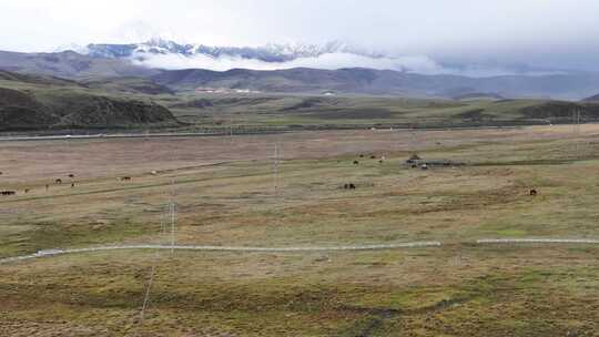 4K航拍四川康定道孚县塔公镇草原雅拉雪山视频素材模板下载