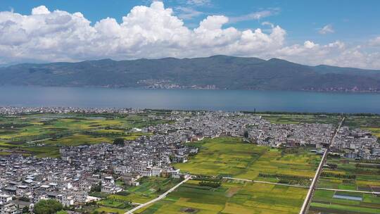 【精品】夏季秋季秋天秋收湖泊风光美景