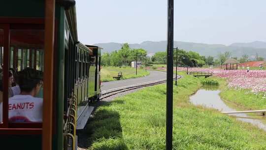 杭州余杭径山花海开往春天的小火车视频素材模板下载