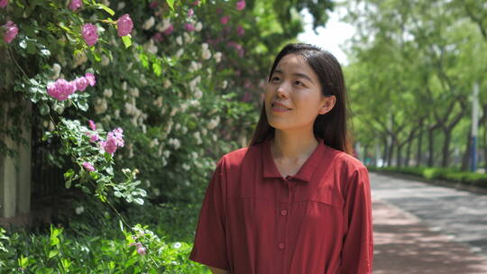中国女性路边观赏盛开的蔷薇花