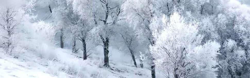 雪落下的声音宽