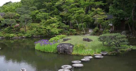 日式园林池塘与绿植景观