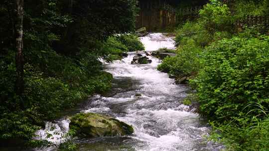 河流慢镜头水流升格山泉水 大自然 清澈溪流