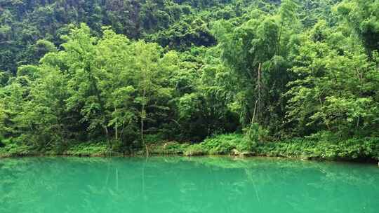 绿色自然江河绿水