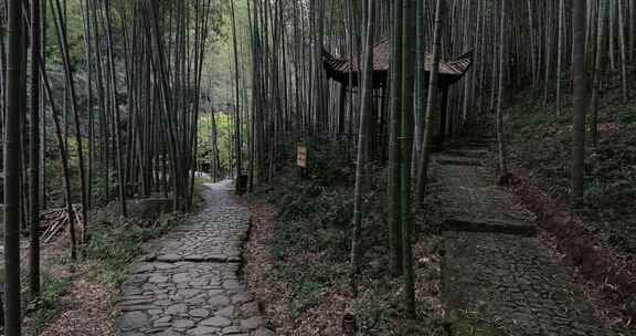 宁静的山野竹林 浙东小九寨