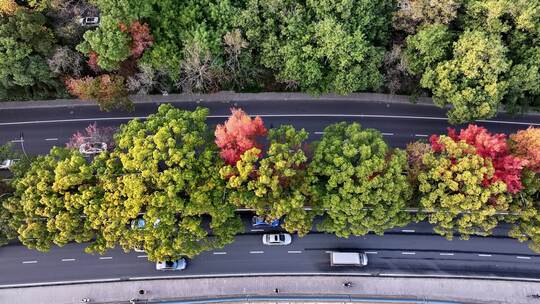 航拍汽车行驶在城市的公路上